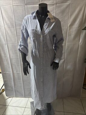 Zara Blue and White Striped Button-Front Shirt Dress